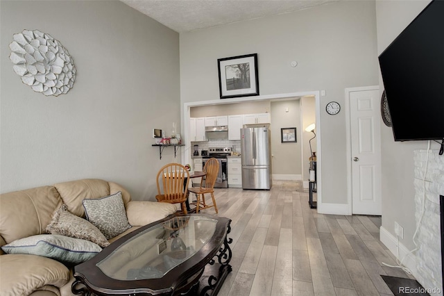 living room with a towering ceiling and light hardwood / wood-style flooring