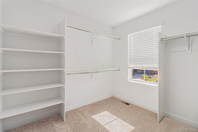 1953 Morgan Dr, Erie, CO 80516 - walk in closet with carpet floors