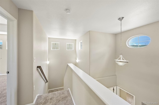 19659 W 59th Dr, Golden, CO 80403 - stairway featuring carpet and plenty of natural light