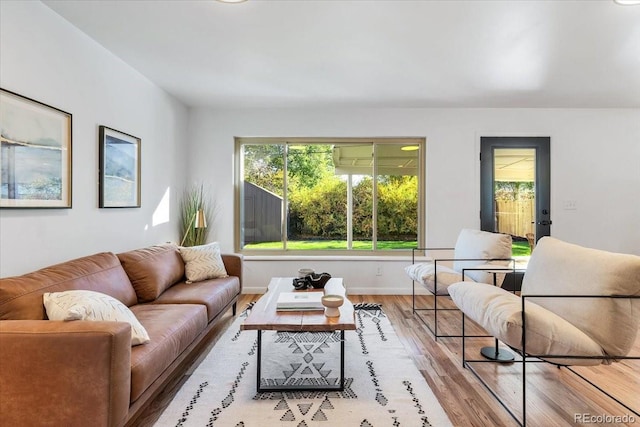 living room with hardwood / wood-style flooring