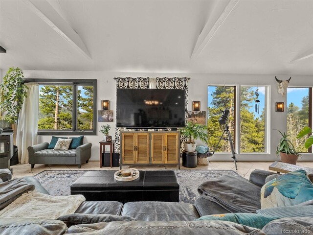 197 Sawmill Ln, Idaho Springs, CO 80452 - photo 8