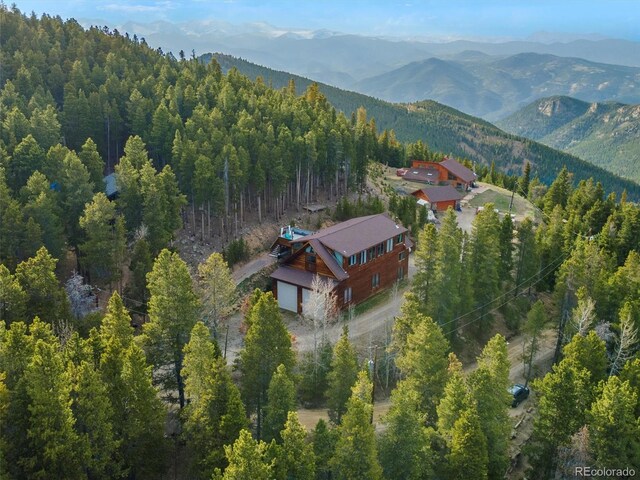 197 Sawmill Ln, Idaho Springs, CO 80452 - photo 41
