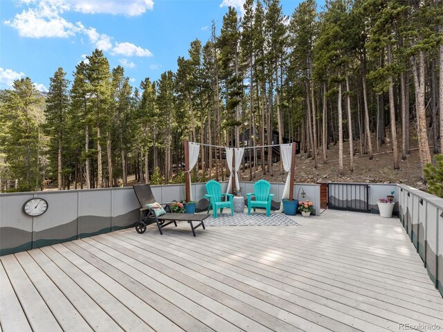 197 Sawmill Ln, Idaho Springs, CO 80452 - photo 22