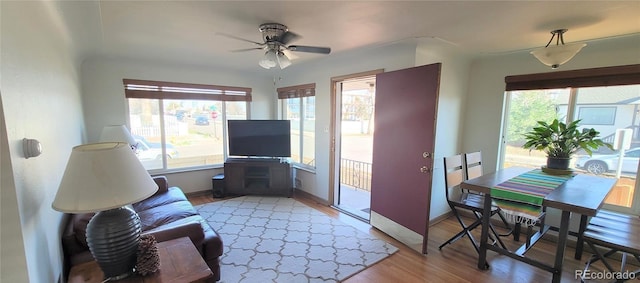 4901 Grove St, Denver, CO 80221 - living area with light wood-type flooring and a ceiling fan