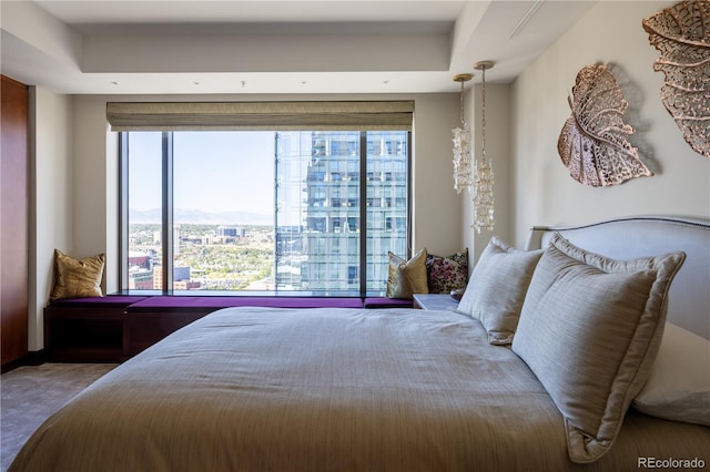 bedroom featuring multiple windows and a raised ceiling