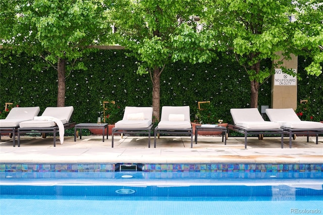 view of swimming pool with a patio area