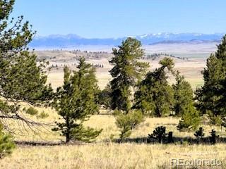 101 Maricopa Trl, Hartsel, CO 80449