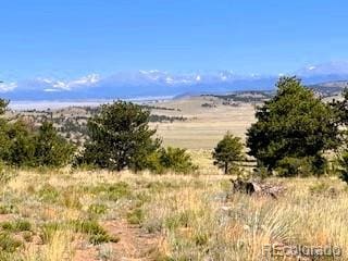 101 Maricopa Trl, Hartsel, CO 80449
