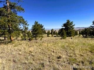 101 Maricopa Trl, Hartsel, CO 80449