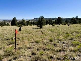 101 Maricopa Trl, Hartsel, CO 80449