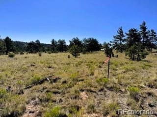 101 Maricopa Trl, Hartsel, CO 80449
