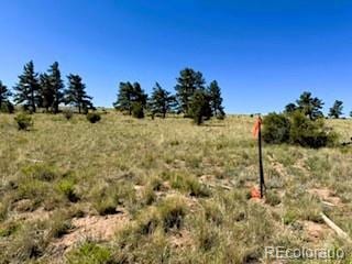 101 Maricopa Trl, Hartsel, CO 80449