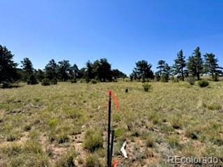 101 Maricopa Trl, Hartsel, CO 80449