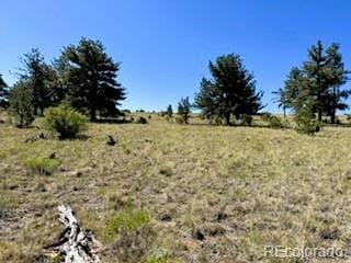 101 Maricopa Trl, Hartsel, CO 80449