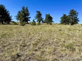 101 Maricopa Trl, Hartsel, CO 80449