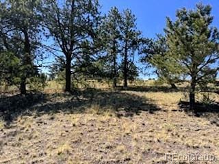 101 Maricopa Trl, Hartsel, CO 80449