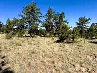 101 Maricopa Trl, Hartsel, CO 80449