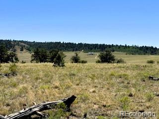 101 Maricopa Trl, Hartsel, CO 80449