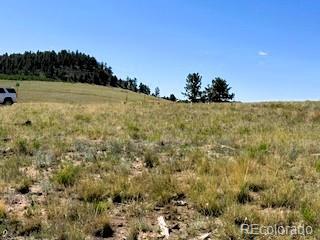 101 Maricopa Trl, Hartsel, CO 80449
