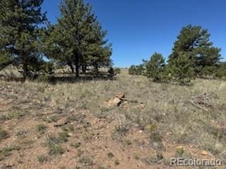 101 Maricopa Trl, Hartsel, CO 80449