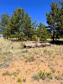 101 Maricopa Trl, Hartsel, CO 80449
