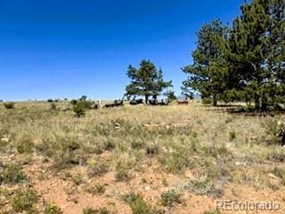 101 Maricopa Trl, Hartsel, CO 80449