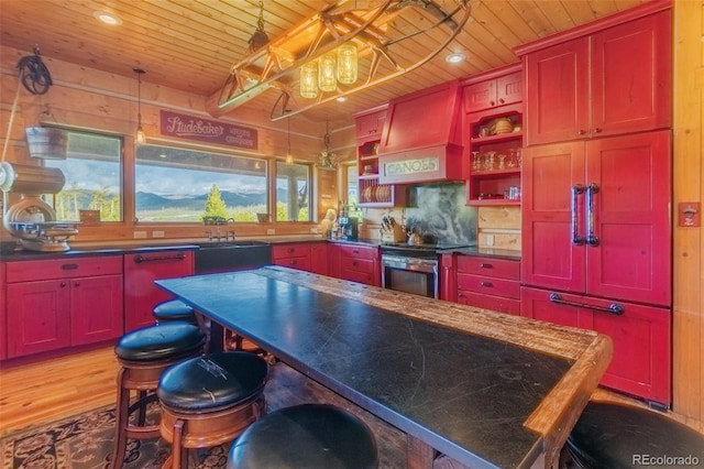 291 County Road 452, Grand Lake, CO 80447 - kitchen with stainless steel electric stove, wooden ceiling, premium range hood, open shelves, and a sink