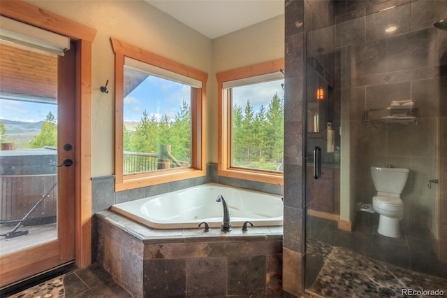 291 County Road 452, Grand Lake, CO 80447 - full bathroom with a whirlpool tub, a shower stall, plenty of natural light, and toilet