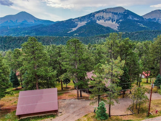 130 County Road 406, La Veta, CO 81055 - photo 5