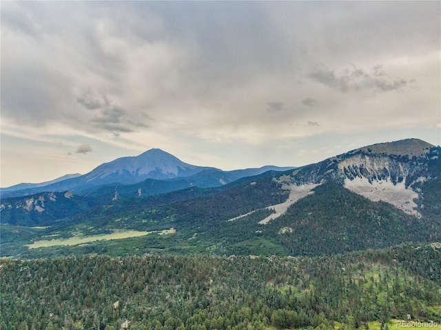 130 County Road 406, La Veta, CO 81055 - photo 7