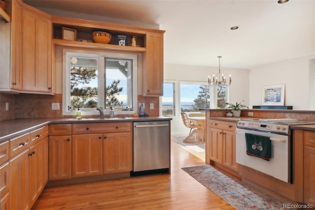 kitchen with a healthy amount of sunlight, electric range, light hardwood / wood-style flooring, and stainless steel dishwasher