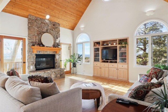 living room featuring high vaulted ceiling, plenty of natural light, and a stone fireplace