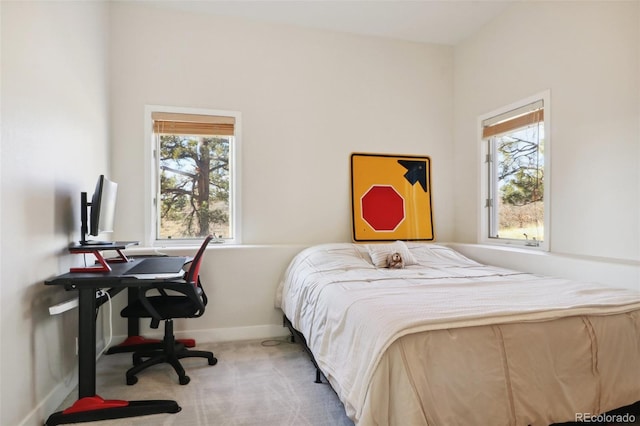 bedroom with multiple windows and carpet floors