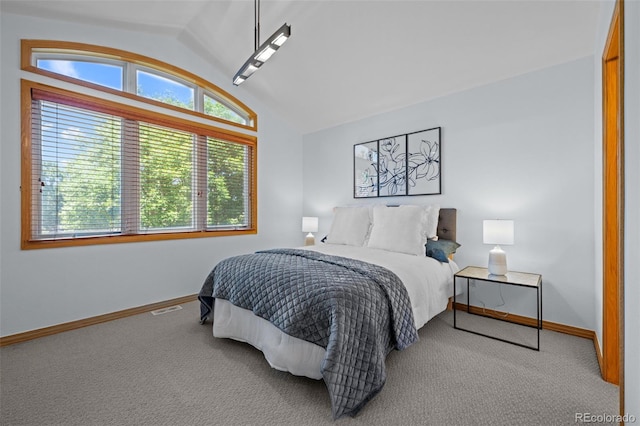 222 S Olive St, Denver, CO 80230 - carpeted bedroom featuring lofted ceiling and baseboards