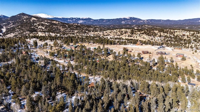 birds eye view of property with a mountain view