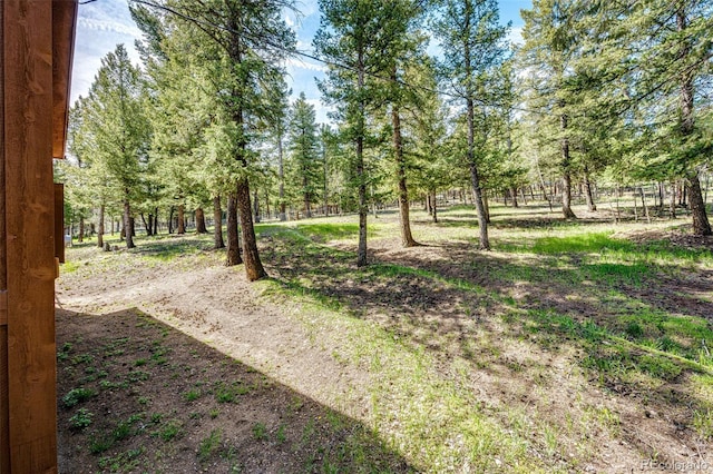224 Yellow Pine Dr, Bailey, CO 80421 - view of yard