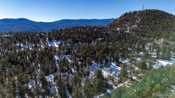 224 Yellow Pine Dr, Bailey, CO 80421 - view of mountain background featuring a forest