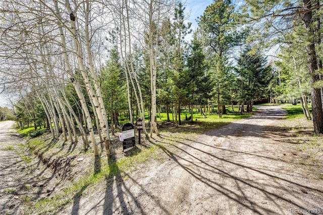 224 Yellow Pine Dr, Bailey, CO 80421 - view of dirt / gravel road