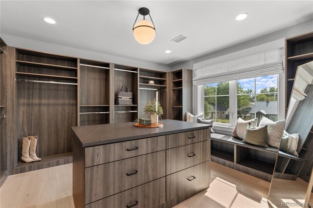 3256 S Corona, Englewood, CO 80113 - walk in closet featuring light wood-style floors