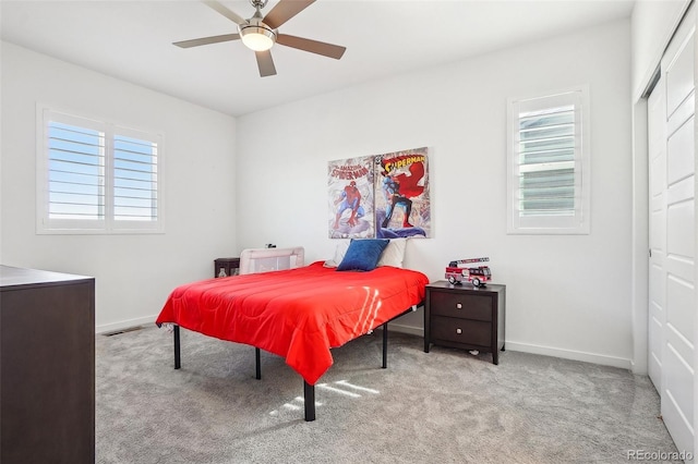 13960 Box Turtle Loop, Parker, CO 80134 - bedroom with carpet floors, multiple windows, and a closet