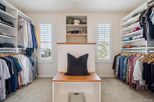 10660 Weathersfield Ct, Highlands Ranch, CO 80129 - spacious closet featuring light colored carpet