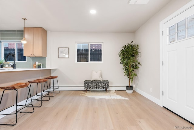 interior space featuring light hardwood / wood-style flooring, a healthy amount of sunlight, and a baseboard radiator