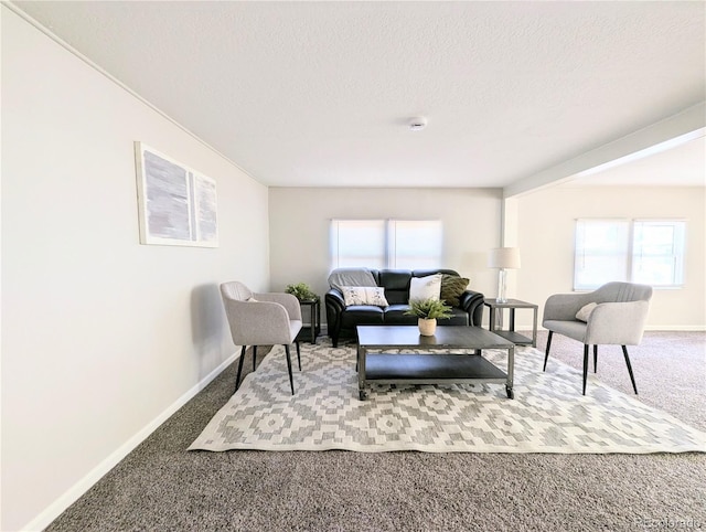 2032 Tulane St, Denver, CO 80260 - living area with carpet flooring, plenty of natural light, and a textured ceiling