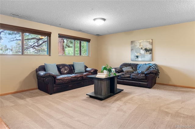 19325 Glen Hollow Cir, Monument, CO 80132 - photo 28