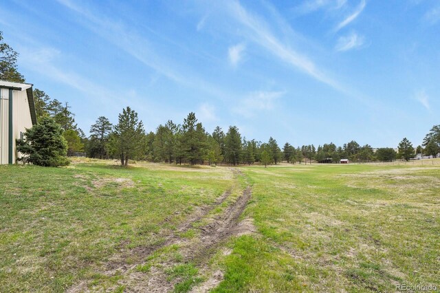 12387 Ponderosa Ln, Kiowa, CO 80117 - photo 41