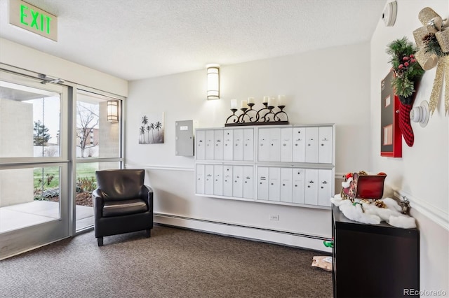 635 S Alton Way Unit 1C, Denver, CO 80247 - living area featuring mail area, carpet floors, a baseboard radiator, a textured ceiling, and electric panel