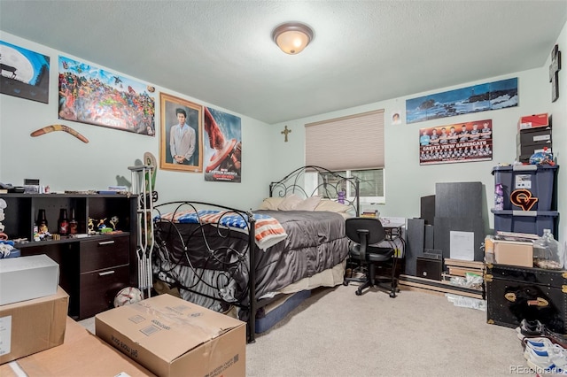 1341 Tomichi Dr, Franktown, CO 80116 - bedroom with carpet, an office area, and a textured ceiling