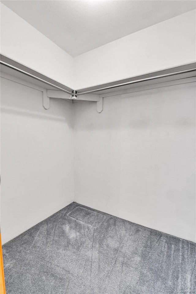 3061 W 92nd Ave Unit 8B, Westminster, CO 80031 - spacious closet featuring carpet flooring
