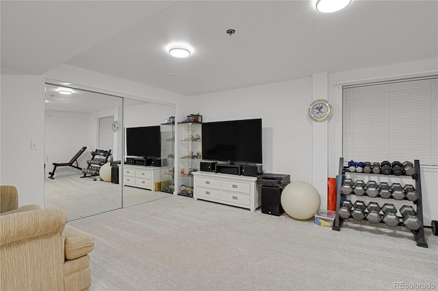 9665 Whitecliff Pl, Highlands Ranch, CO 80129 - living room with carpet flooring