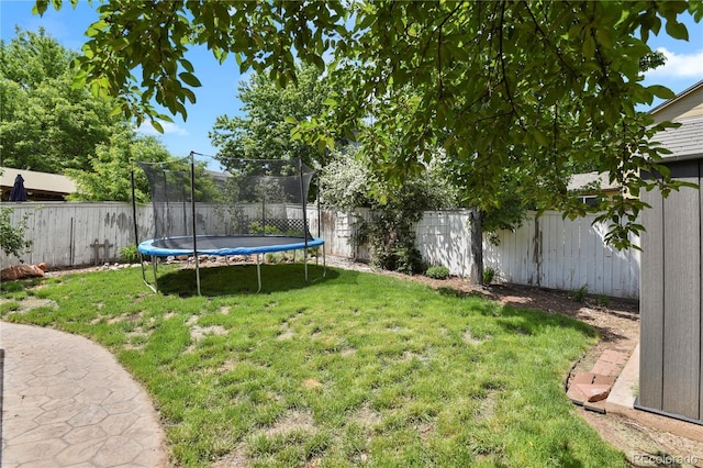 9665 Whitecliff Pl, Highlands Ranch, CO 80129 - view of yard featuring a trampoline
